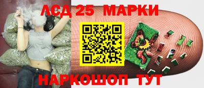 ГАЛЛЮЦИНОГЕННЫЕ ГРИБЫ Бузулук
