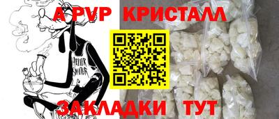 СК Будённовск