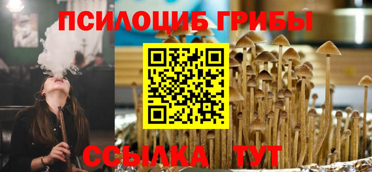 Галлюциногенные грибы ЛСД Коряжма