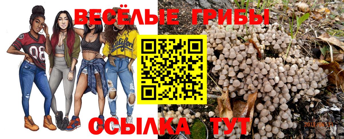 Галлюциногенные грибы Psilocybine cubensis  Галлюциногенные грибы прущие грибы  Вход с VPN  Коряжма 